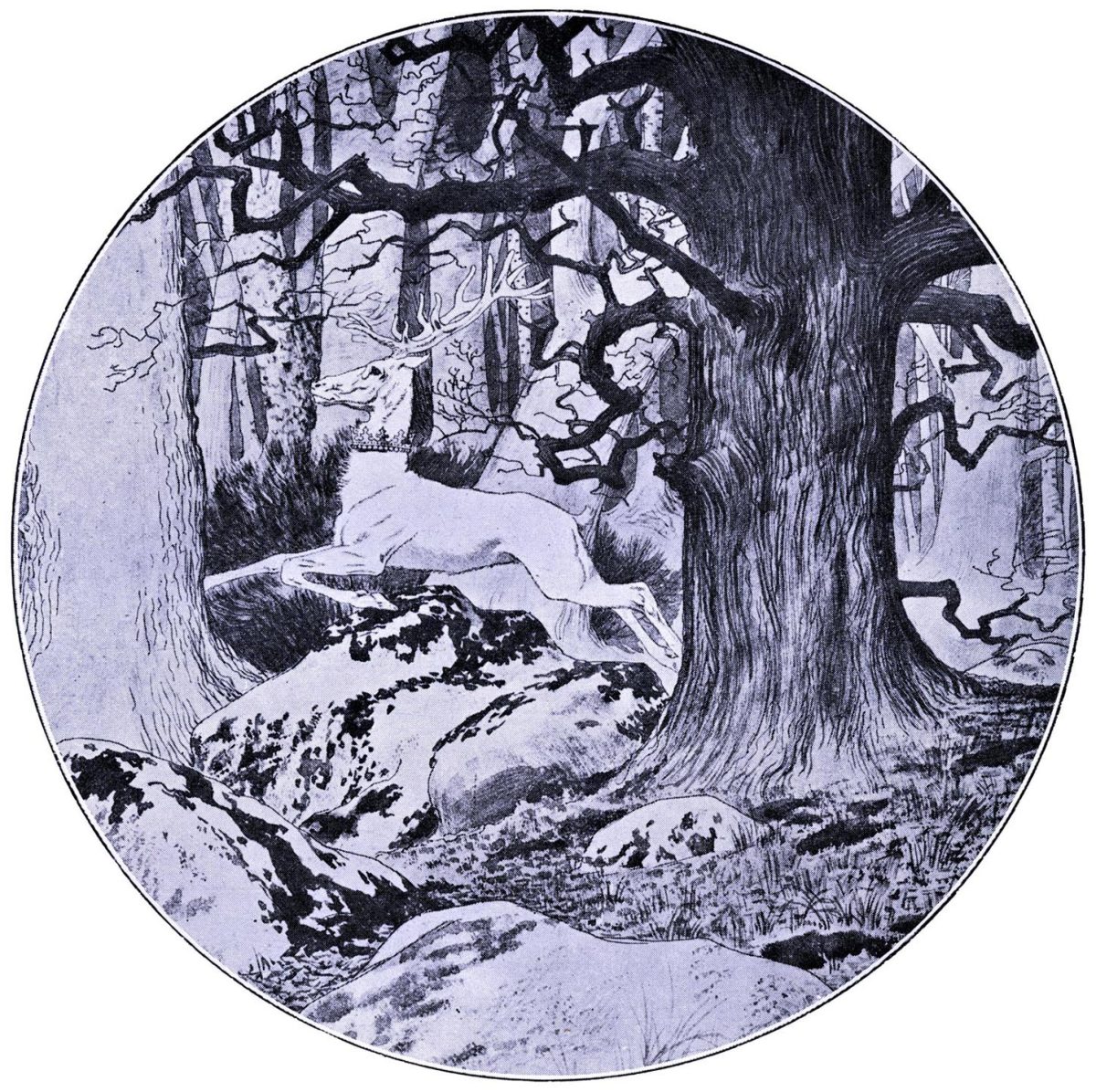 Esclarmonde-projection-5