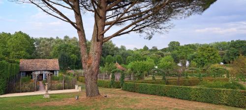 Vers le jardin d'hiver et le jardin potager